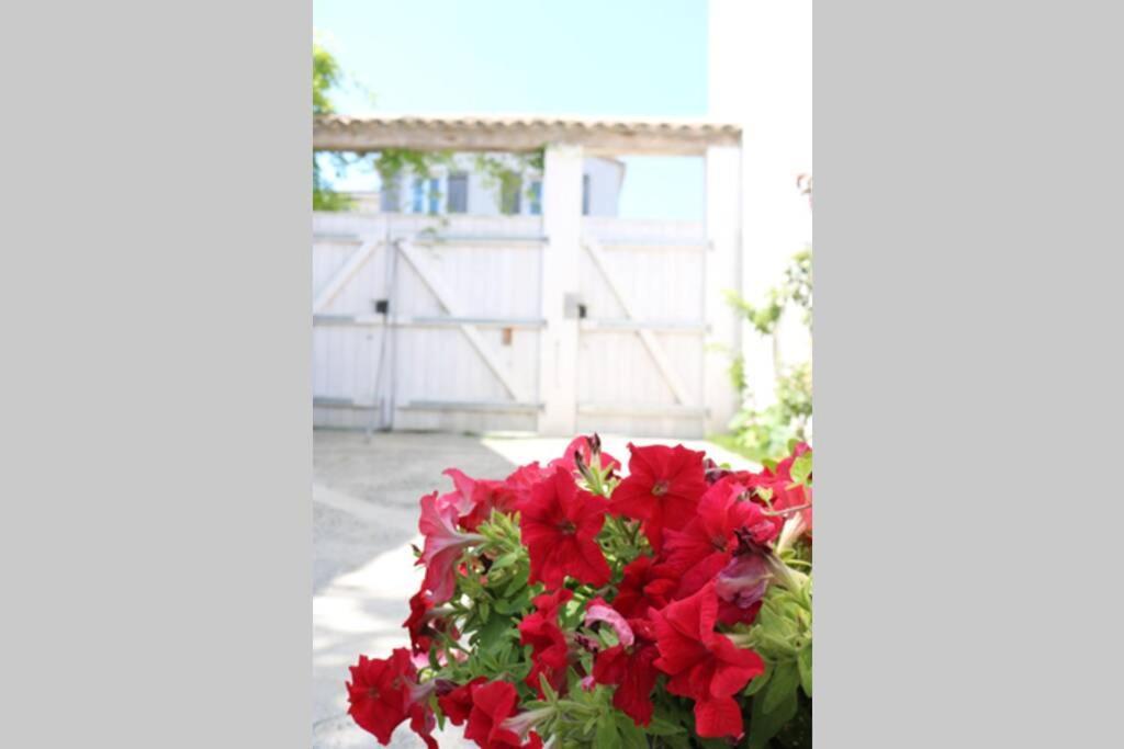 Beau T3 *** Pour 2 A 4 Pers Avec Patio Privatif Appartement La Couarde-sur-Mer Buitenkant foto